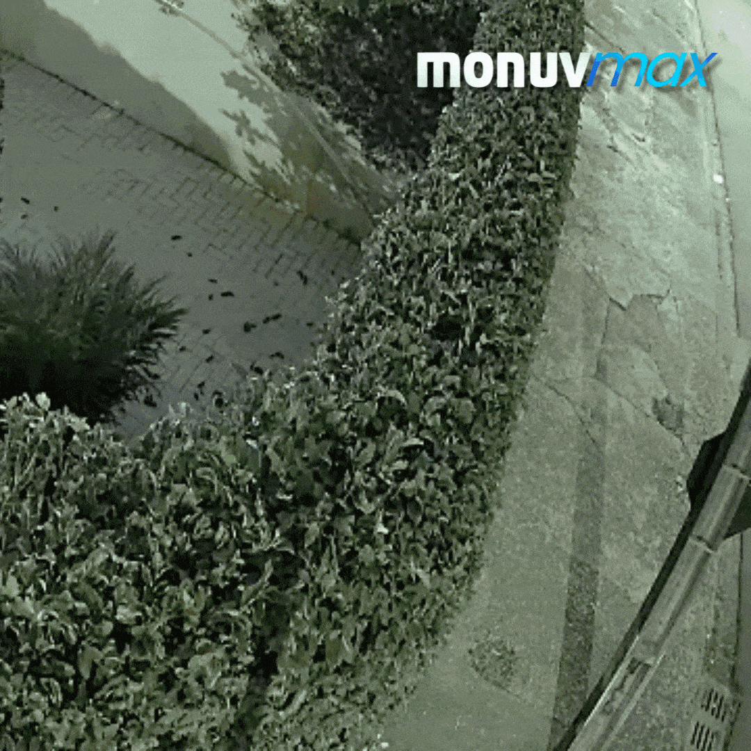 Monuv News Setembro VMS em nuvem e IA para central de monitoramento GIF do artigo Monuv MAX 2 VMS em nuvem e IA para central de monitoramento